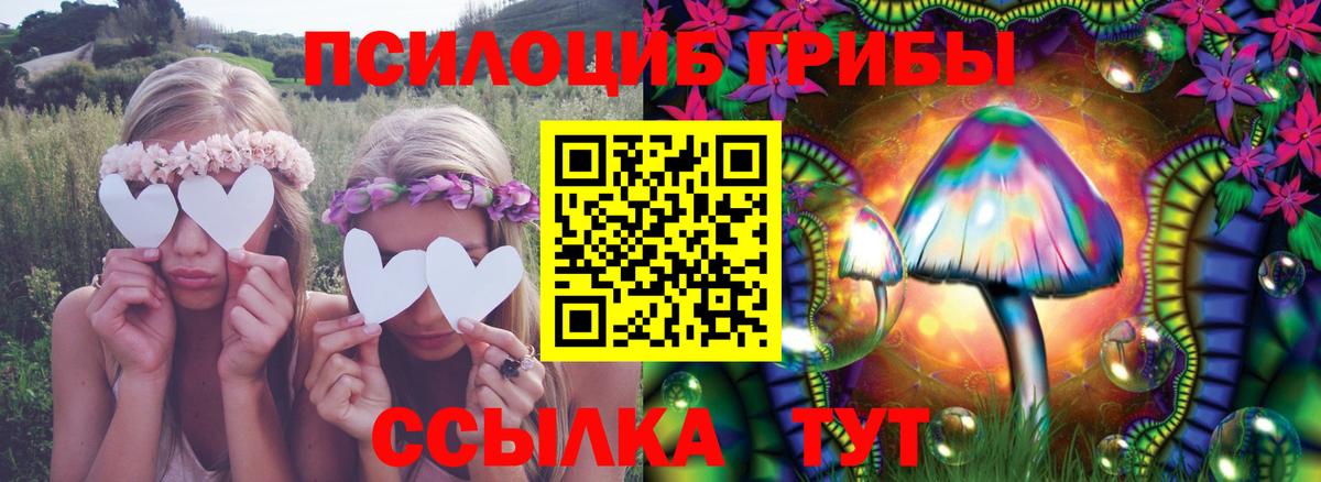 Псилоцибиновые грибы Psilocybine cubensis Дзержинск